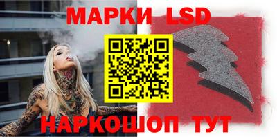 индика Моздок