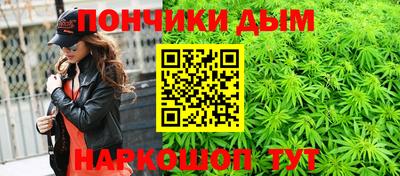 индика Моздок