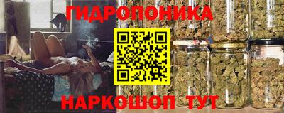 индика Моздок