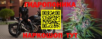 спиды Можга