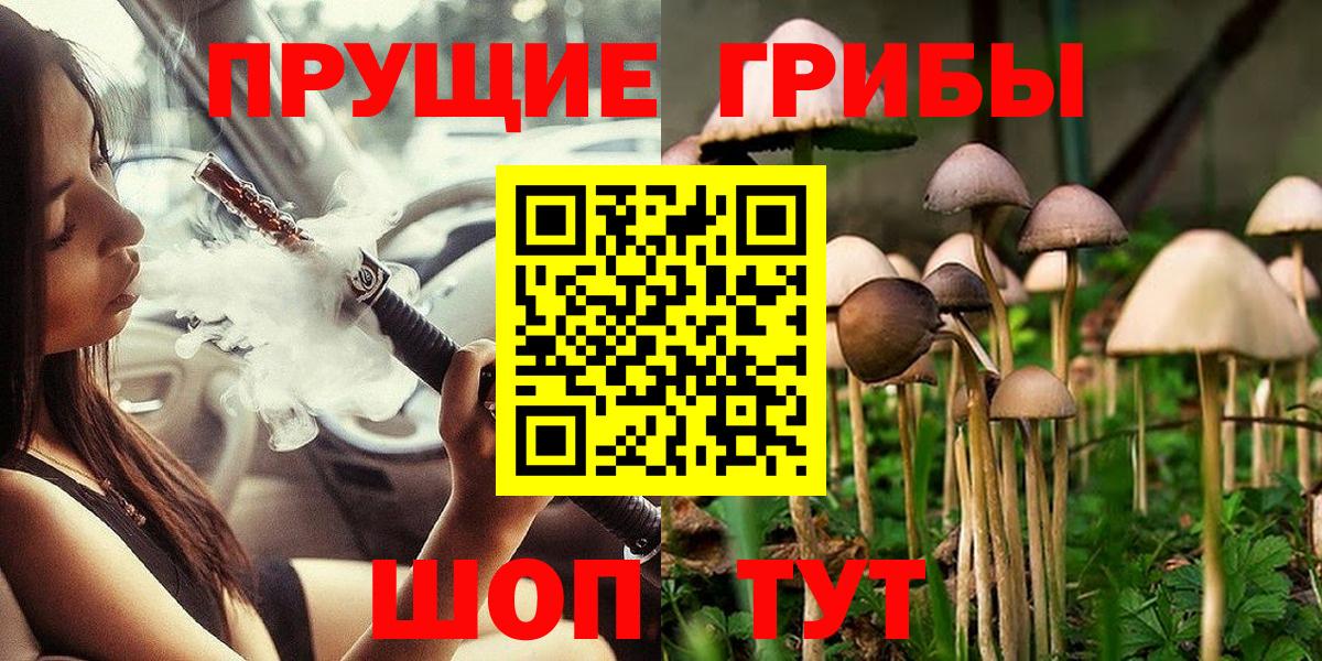 Узловая  Галлюциногенные грибы прущие грибы  Вход с VPN  Галлюциногенные грибы GOLDEN TEACHER 