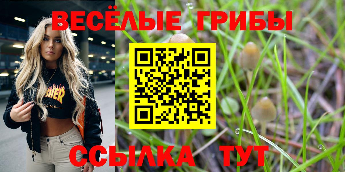 Псилоцибиновые грибы прущие грибы Узловая